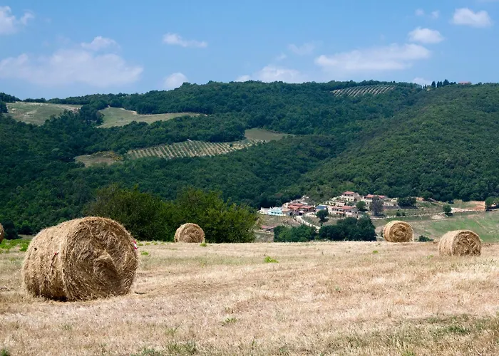 Fonte Alla Lepre